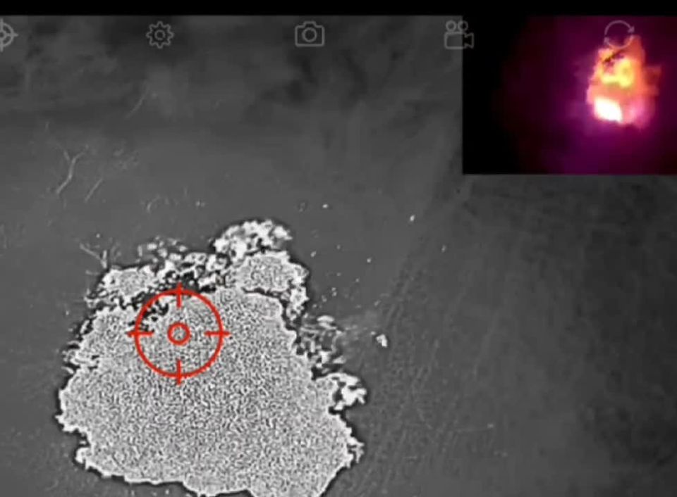 Владислав Шурыгин: Эфектный сброс ТМки на голову поросят