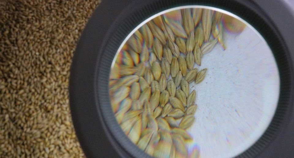 ������ ����� ������� ������ ������ 2025 ���� ����������� � ����� � ���������� �������