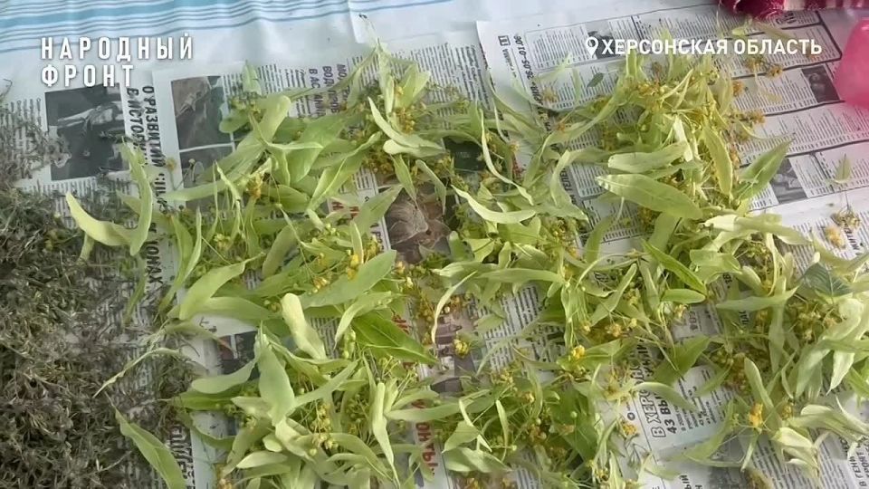 ������������ ������� ����� � ��������