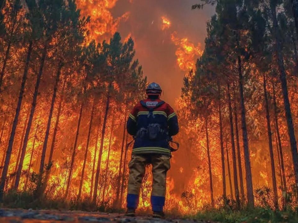 ������: ��� ������ ������� ���� �� ����������� ���������� �������