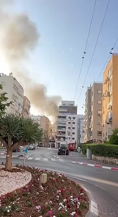 ���� ����� ���� �� �������� ������� � ����-����