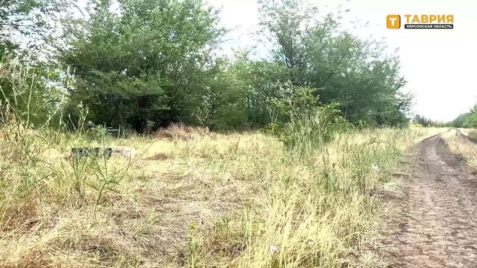 ��������� FPV-������ ���������� �������� ��� � ���� ��������������� ����������� ����� "�����" � ���������� ������