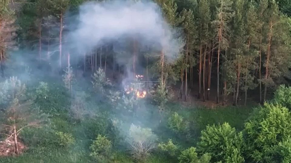 ��������� �� �����. ����������� �������