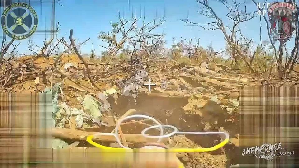 ����������� �������� �� ������� ������������ ������� �������� ������� 72 ���� ���