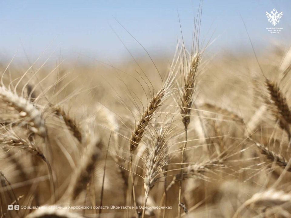 �������� ������: ������� �������� � ������� ������� ������� � ��� ���������� �������