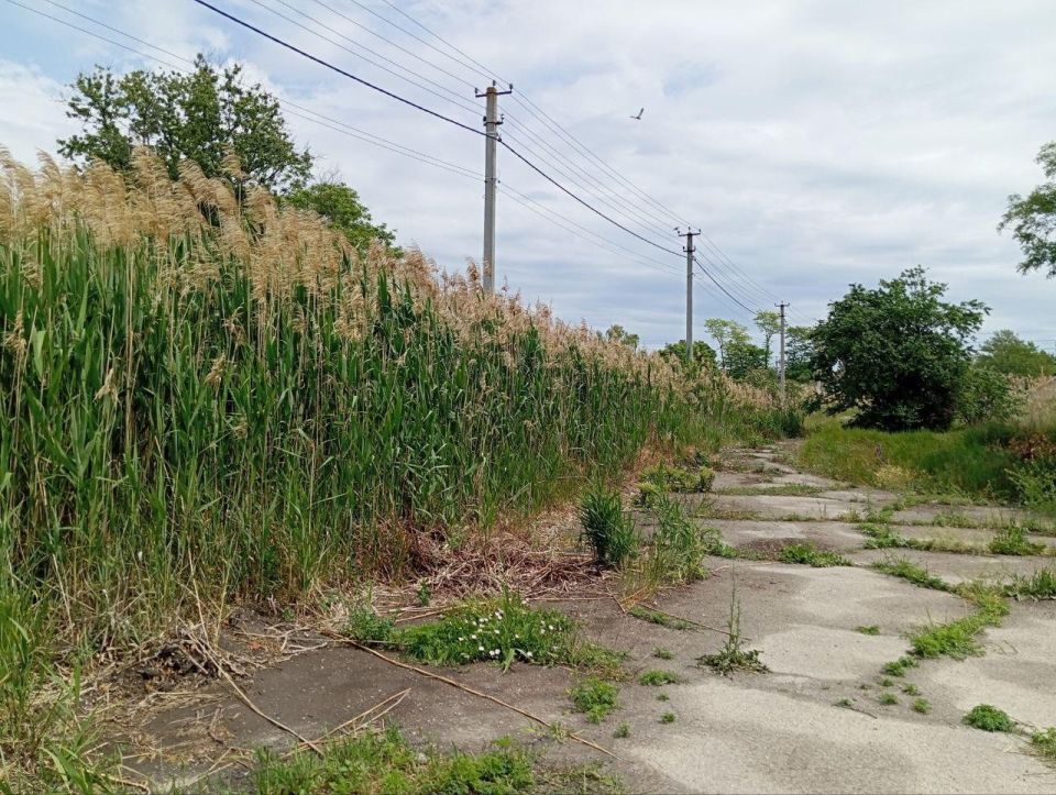 ��������� ��� ����������������� ������ ������� �� ����������� ���������� ����������� �������� ����