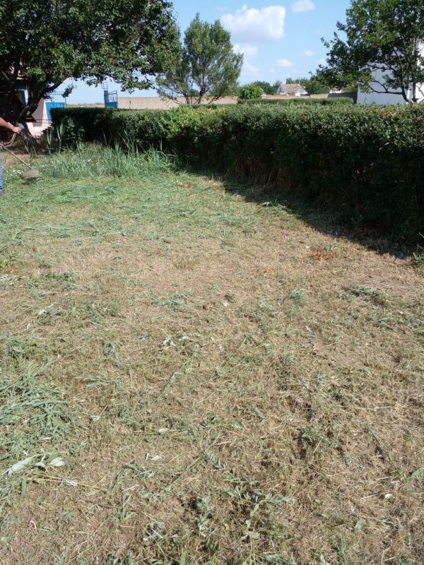 ������� ���������: ������������ ������ ��� "������ ��" ...