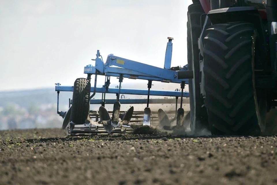 Глава Каховки собирает данные по засухе, погубившей посевы