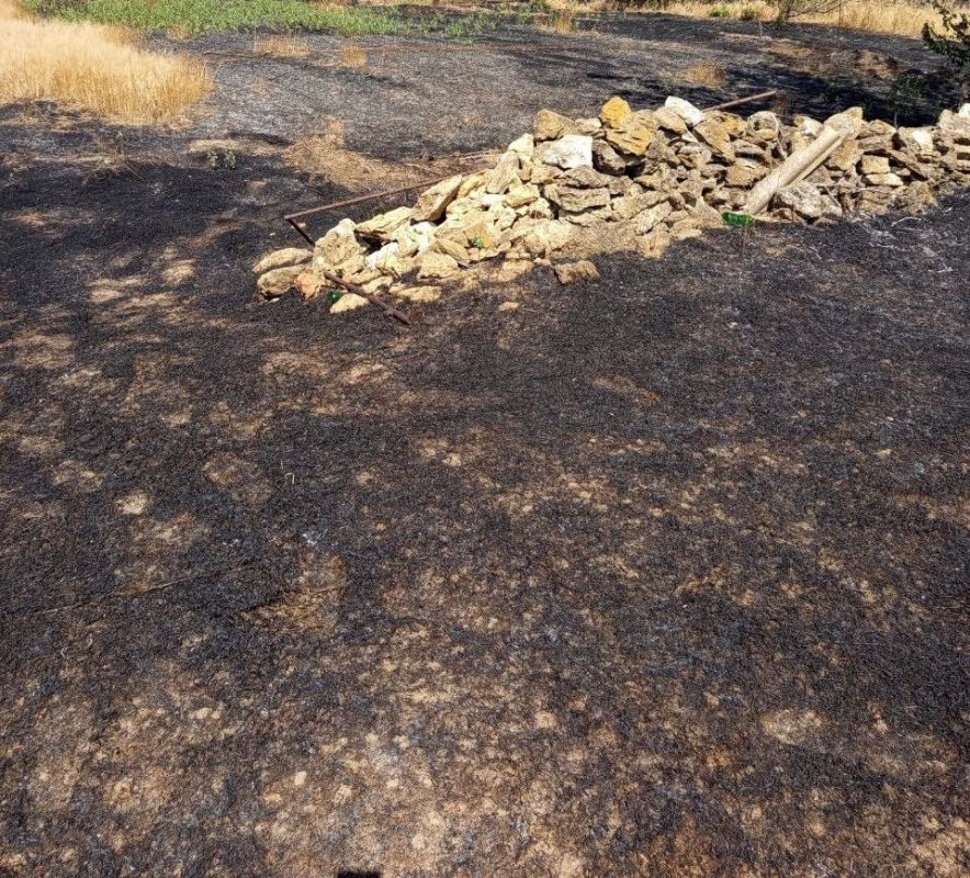 �����-�����������: ���������� ����� ����� ����� ������ ������������ �������� � ������������ ���������� �������� ������������� �������� ��������