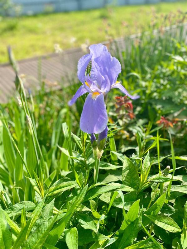 ��������� ���������� ���� �����������!