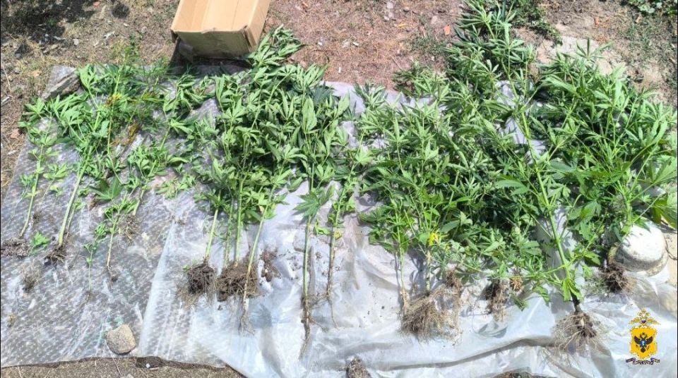 ������ ���������� ������� ������ ��������� ��������������� �� ��������������� �������