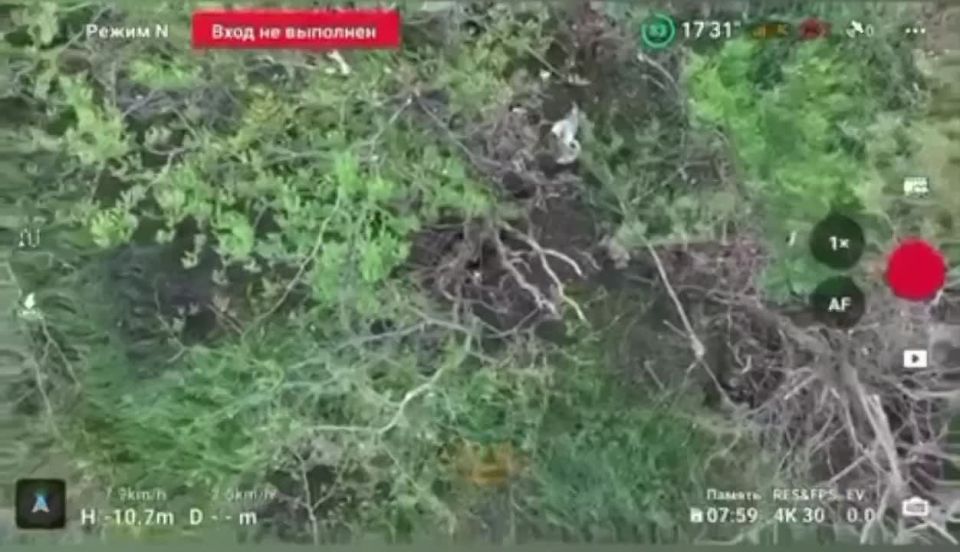 ������ ��������� � ����� �������