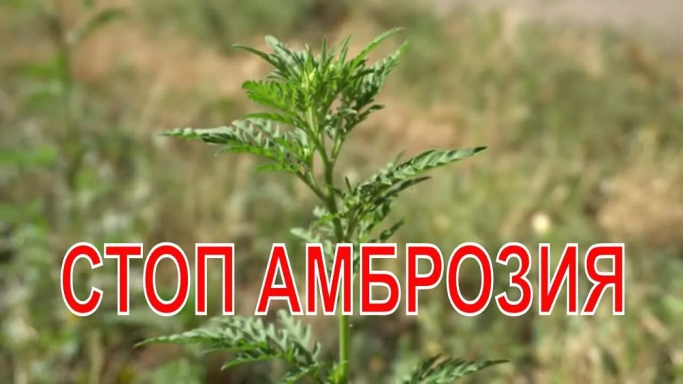 ������������ ��������� ��������, �������� � ����������� ���������� ������� ������������� � ������ ��������� ����� �������� �������������� � �������� ������������ ������� ��������