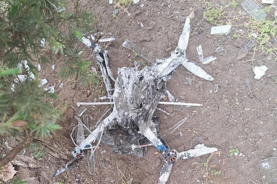 ��� 13 ��� ������� �� ������������������ ������ 19 ����