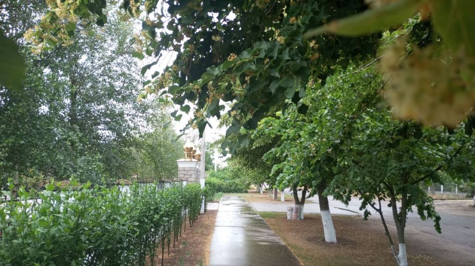 � ������ �����, �����������! � ������� ������ �����!