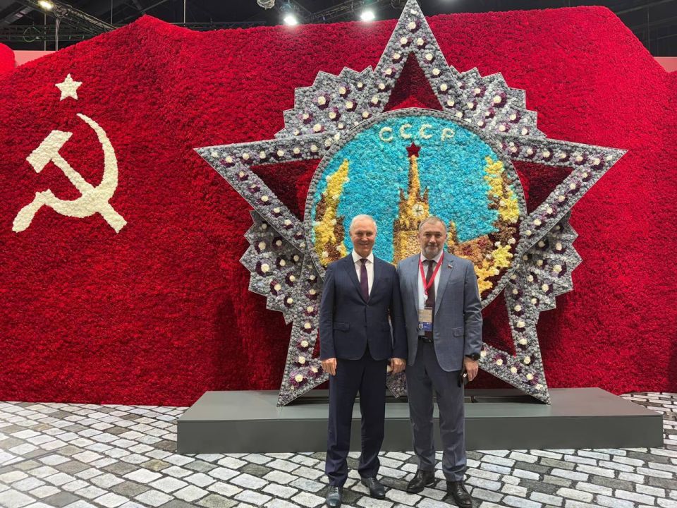 ���������� �����: ������ ���� ����-2025. ������� ������������� ����� ������