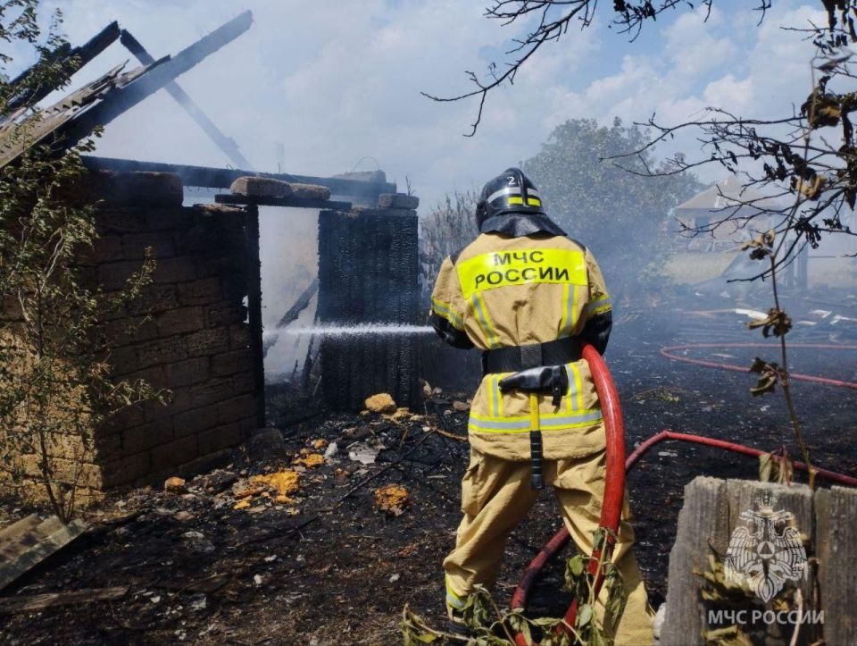 ����� � ������������ ������ ������������