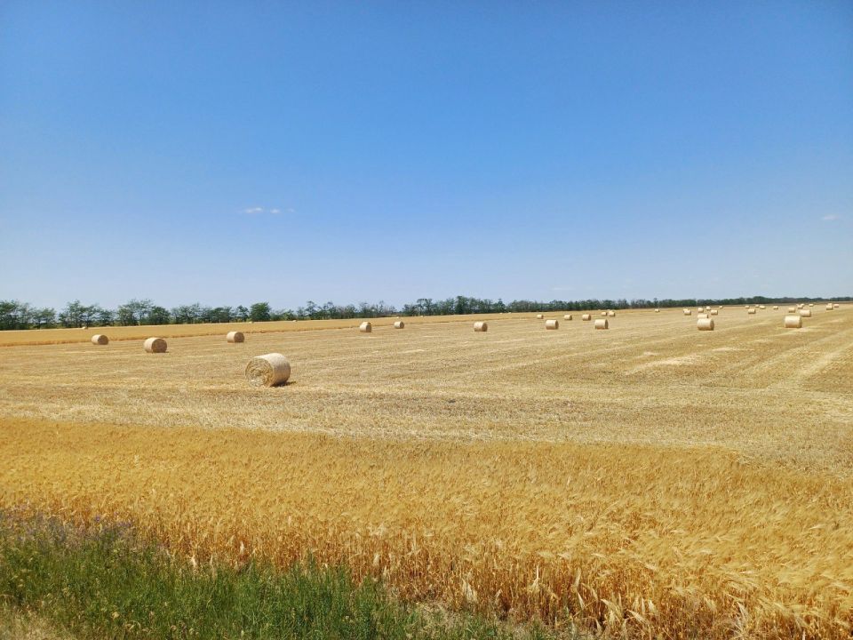 ��� �������� ���� �� ������ ���������