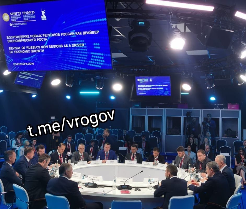 Владимир Рогов: Возрождение новых регионов России как драйвер экономического роста