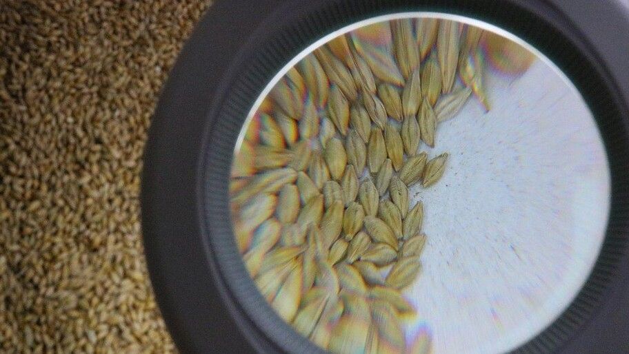 � ���������� ������� ����������� ����������� ������ ����� ������ ������ ������� ������