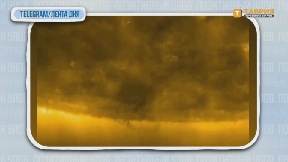 "���������� ����" � �������� ������������ �������� �� ����� ����