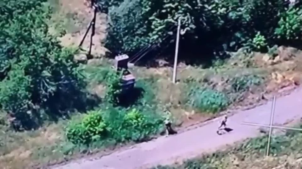 �����- ���������� �� ���������� ������� ������ ������������