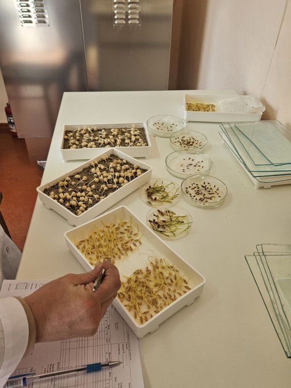 В Херсонской области осенью планируют открыть вторую лабораторию Россельхозцентра