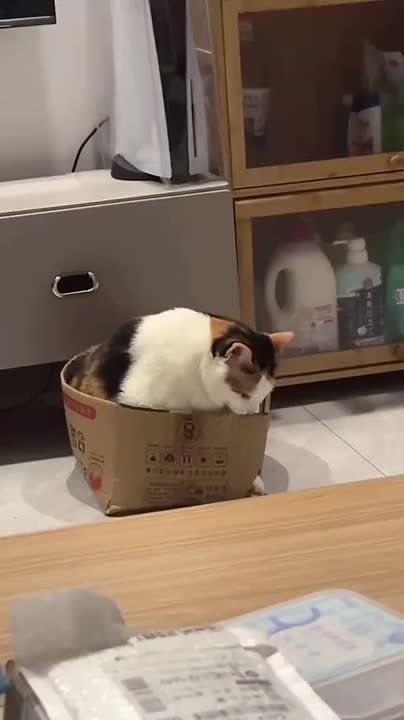 ��� ����� ���� ����� �������?