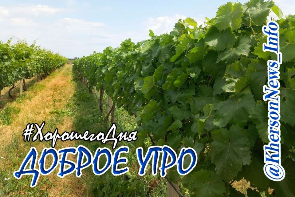 ������ ����, ������!. ���� ������������� �������� ��� � �������� ����������