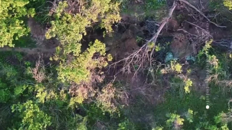 �������� ��������. ����������� �������