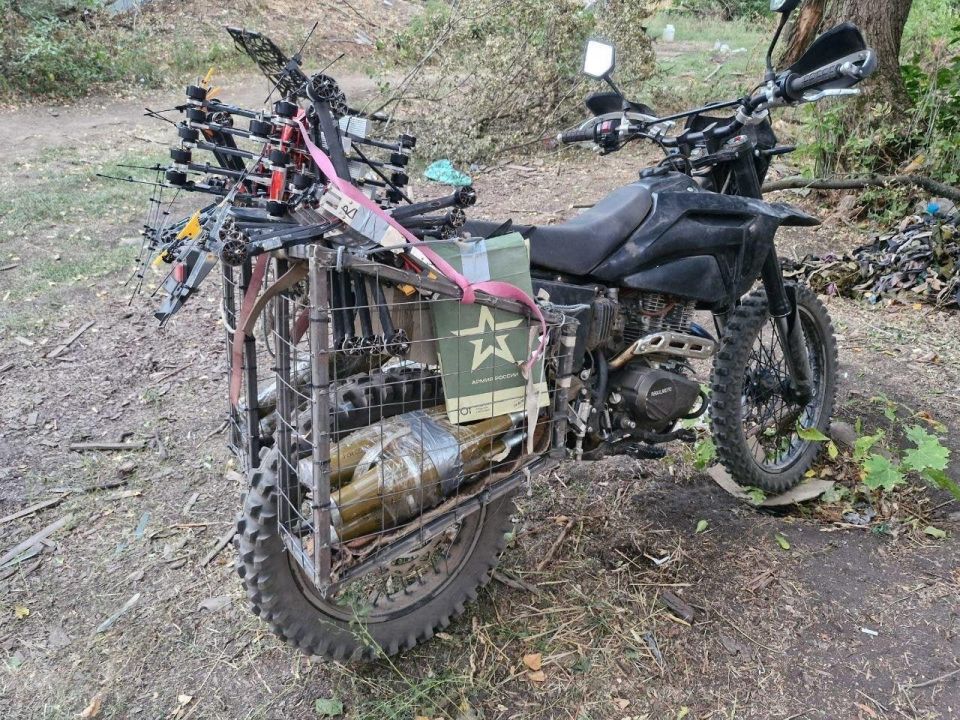 ������ ��������