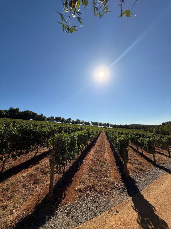 ������� 21 ����- ���� ������� �������������!