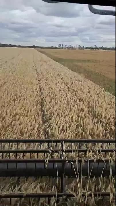 ���� ��������: ������� �������� ���� ��������������, ��������� ���� � ��������, ������ �������, ������� � ��������������, ���������� � �������� ���������