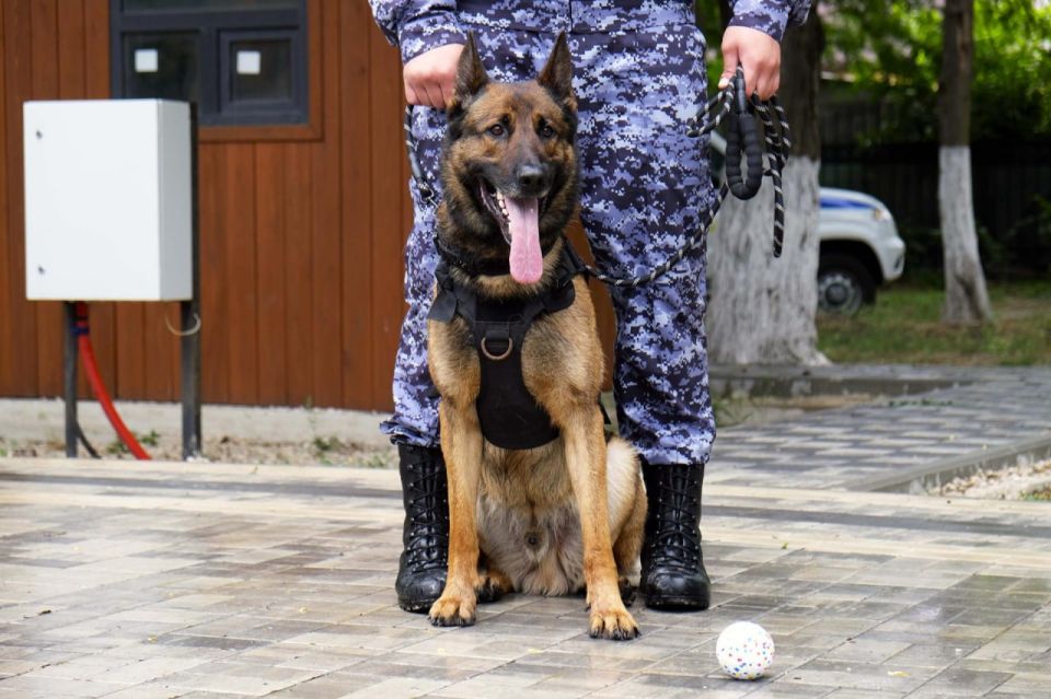 ����� ��������� � ����������� ������ � ���������� �������