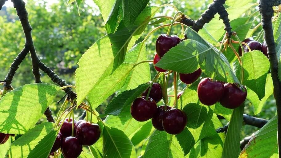 ����-�����. ������� ����������, ��� ������� ������� � ����� ����� �� ��� ����������