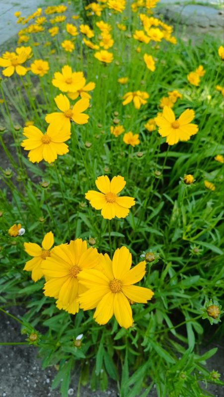 � ������ �����, �����������! � ������ ��������� �����!