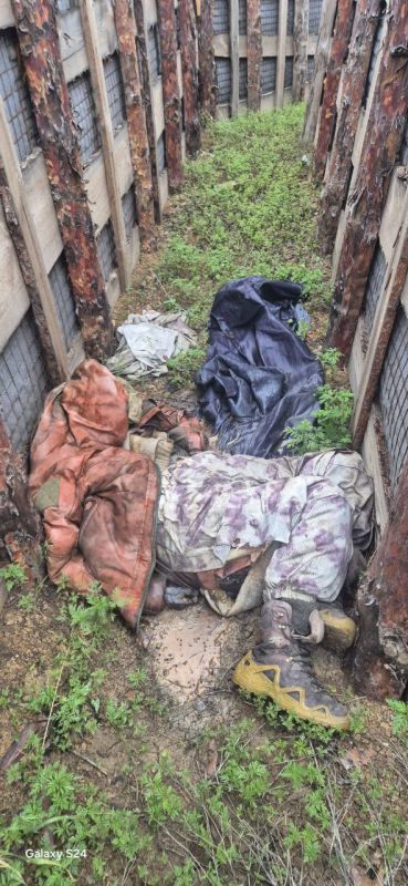 ����� ���������, ���������� �����������