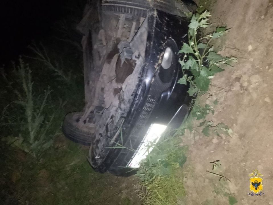 � ������������ ������ ����������� ������������� �������������� ��� � �������������