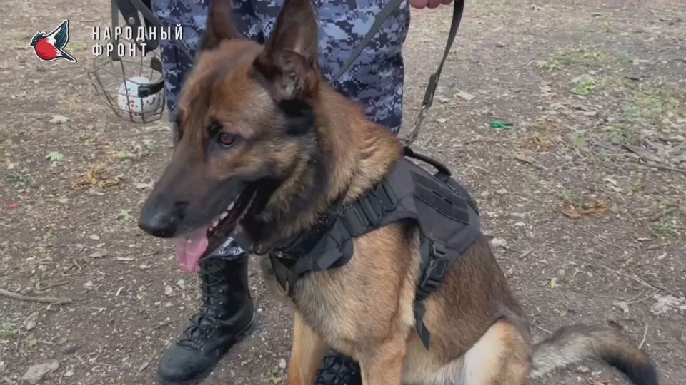 ���� ��������!. ������� ��������� ��������� ������ ��������� � ��� � ����������� ������� ����� � ���������� �����������, ����������� ��������������, ������� ������������ ������������ � ������� � ����� ��������