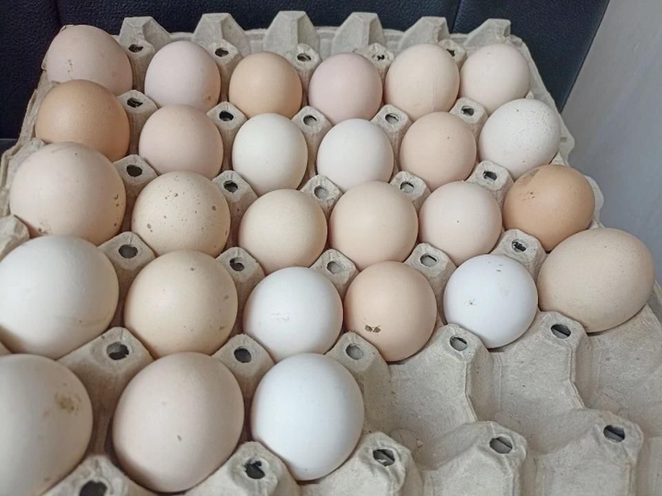 � ���������� ������� ������� ���� �� ��������� �������� ������