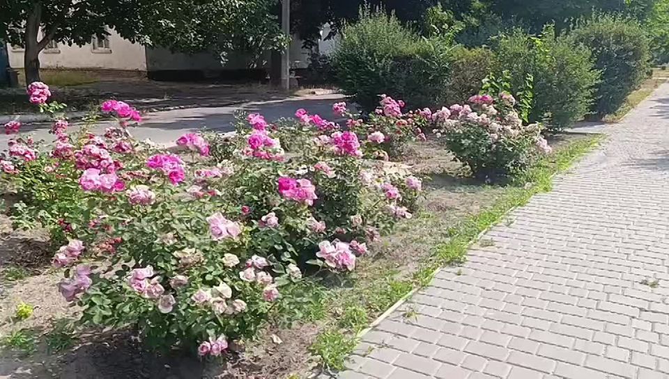 ������ ����, ������ ���������� �������������� ������!