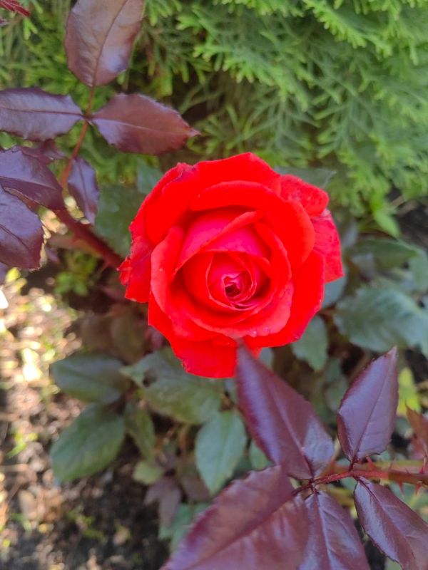 ����� ����������: ���������� ����.. � 2022 ���� ������ �� ������� ����� �������. ��� ������ �� ����, �� �� �������� �������. ��������