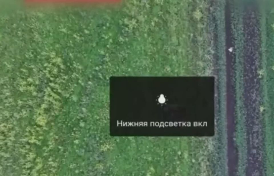 �������� �����. ���������������� �����������