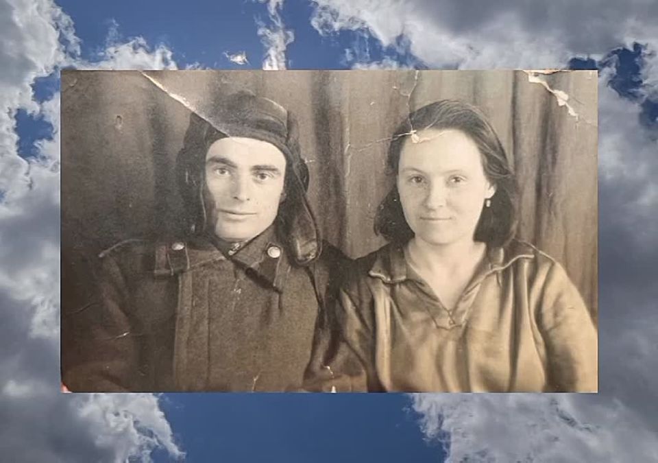 ���� ���� 84 ���� ����� ��� ������ ����� ���� �������