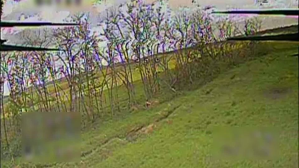 ����������� �������.. ����� ����������� �������� ��� 72 ��� 44 �� ������� ���������� �������������