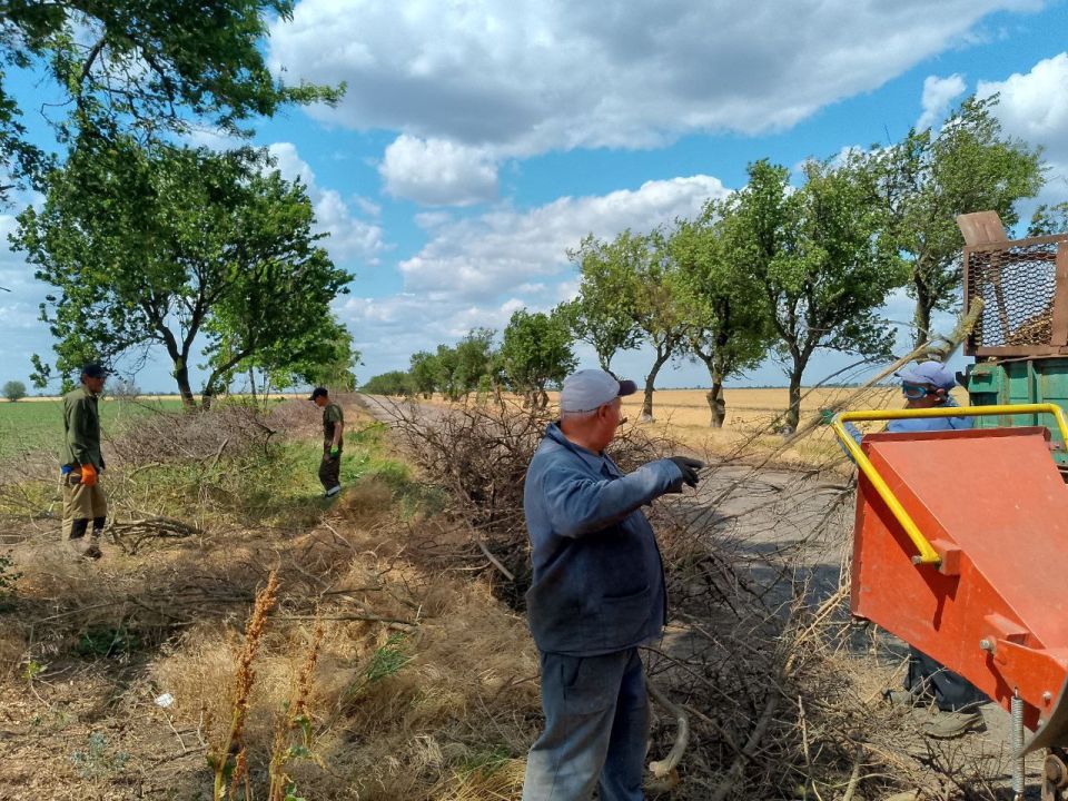 ������ �� ��������������� ������� �� ���������� ������ � ����������� � �� ���� �������� ���������� ��������������� �������������� ������