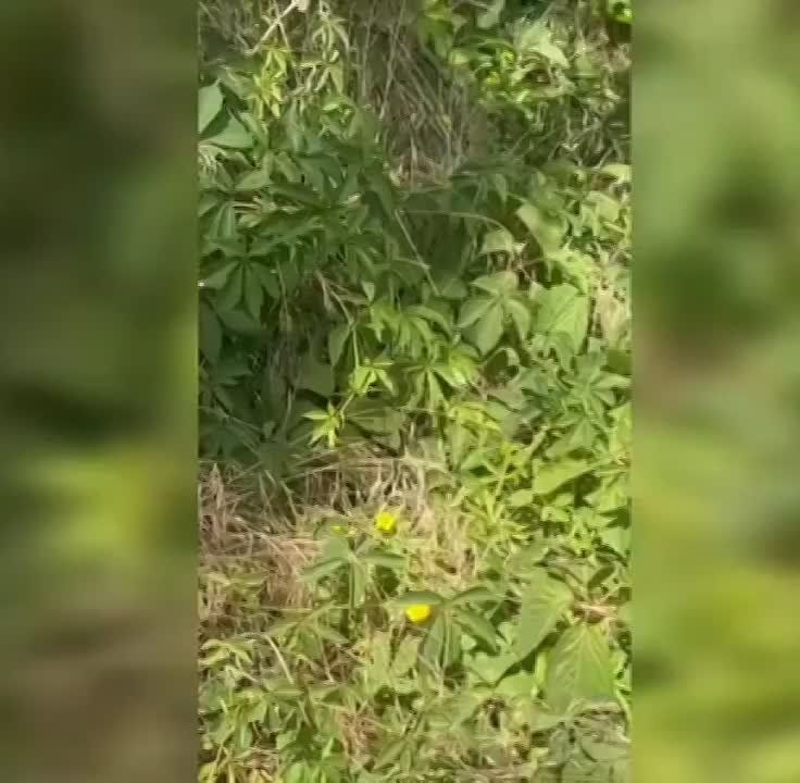 �� ���������� ����������� ���������� ������� ����� � ���� ������ �������� � ���������� � ��� �������� ����� � ��������� �������: ��� ��������� ��� �������, �������� ����������� �������, ������� ��������������� ���������� �...