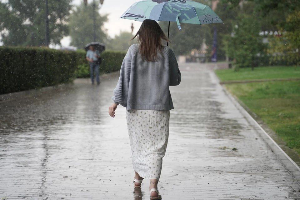 � ���������� ������� �������� ��������� �������������� 22 � 23 ����