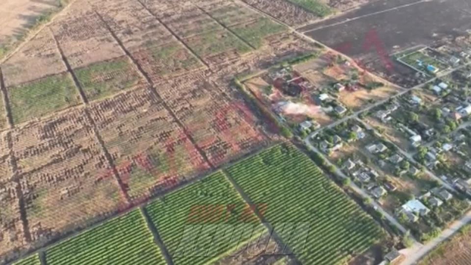 ���������� �����������. ������ FPV-����� ��� ��������� �� ���������� � ������� ��������� �� ������ ������ ������