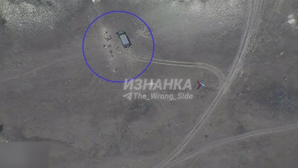 � ��� � ����� ���� ������ ������